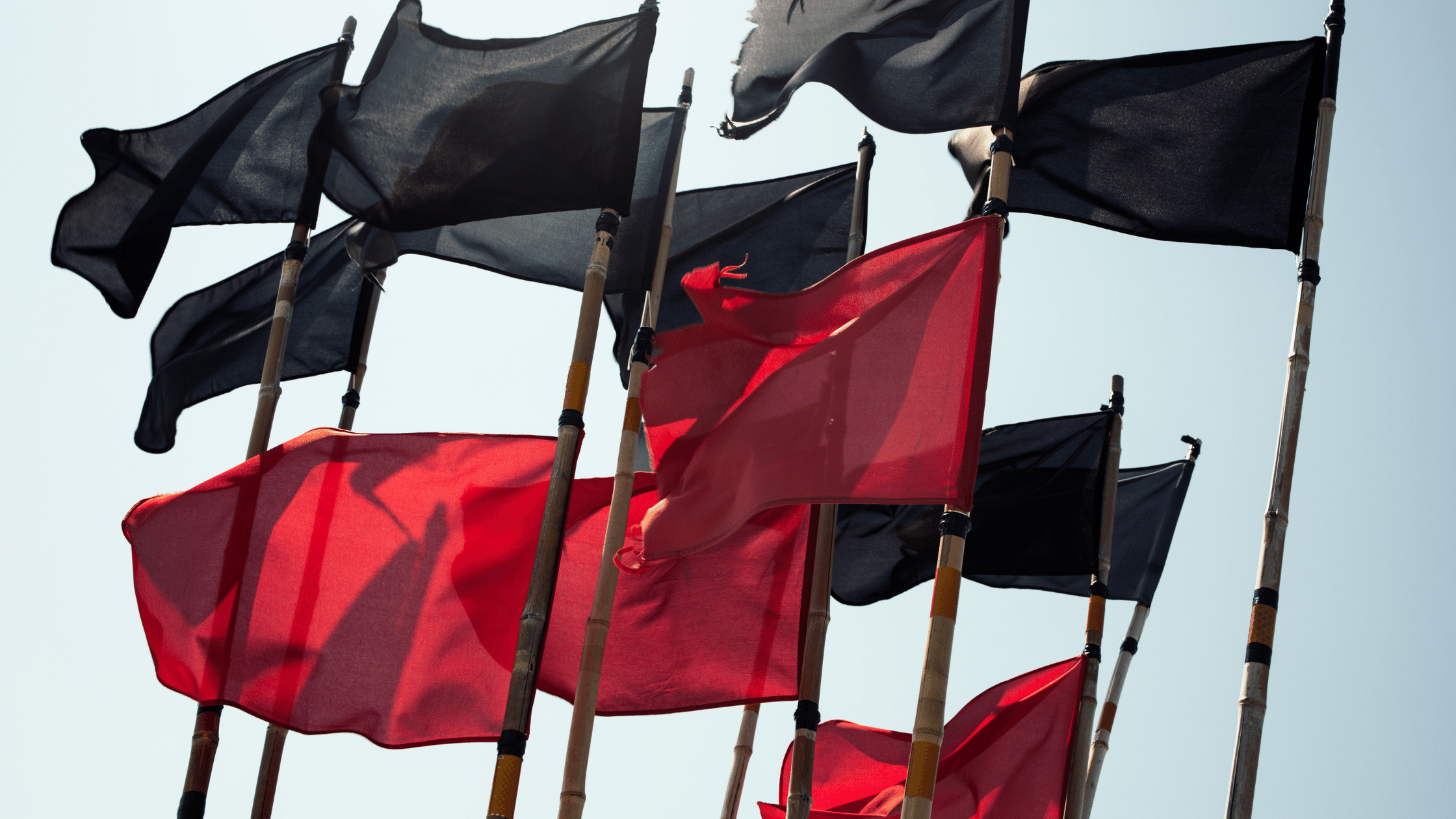 7 Red Flags you should never ignore.